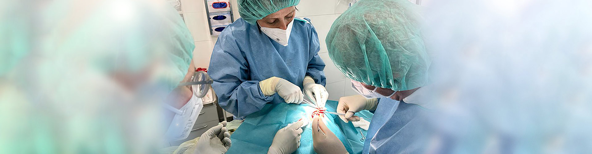 ockenfels-banner-ambulante-op-2023