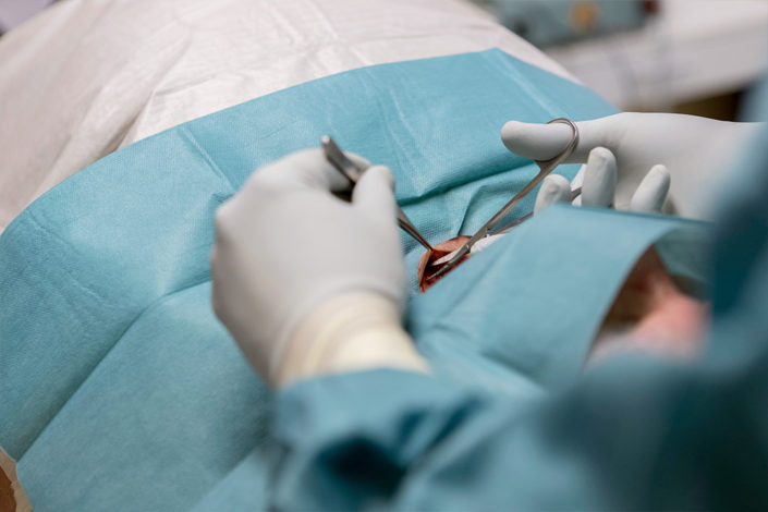 Leistungsbeispiel Leistungsbeispiel